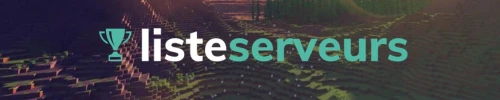 Bannière du serveur Minecraft Valentin Le Tallec